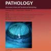 The American Journal Of Pathology Volume 193, Issue 11