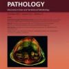 The American Journal Of Pathology Volume 193, Issue 12