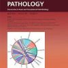 The American Journal of Pathology PDF