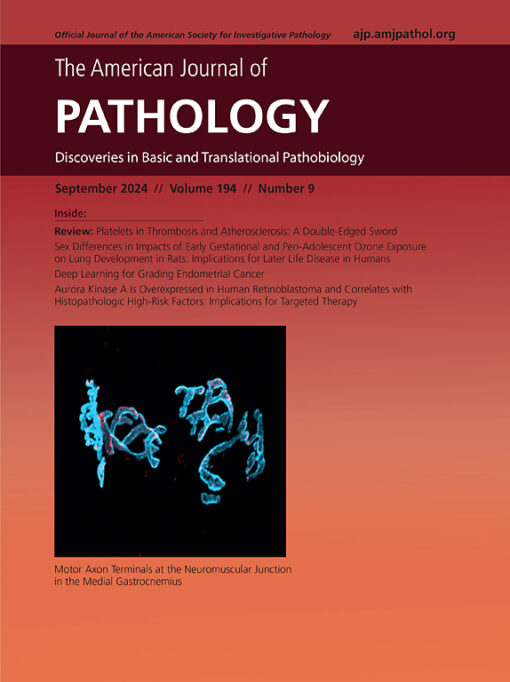 The American Journal of Pathology PDF