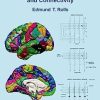 Brain Computations and Connectivity, 2nd Edition (PDF)