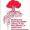 Building and Improving Health Literacy in the ‘New Normal’ of Health Care: Frameworks and Actions (European Health Management in Transition) (EPUB)