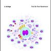 Das Hodgkin-Lymphom (UNI-MED Science) (German Edition), 2nd Edition (PDF) Das Hodgkin-Lymphom (UNI-MED Science) (German Edition), 2nd Edition (PDF)