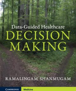 Data-Guided Healthcare Decision Making (PDF)