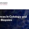 Harvard Advances in Cytology and Small Biopsies 2023 (Course)