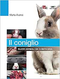 Il coniglio (EPUB)