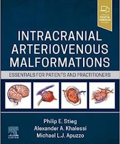 Intracranial Arteriovenous Malformations: Essentials for Patients and Practitioners (EPUB)