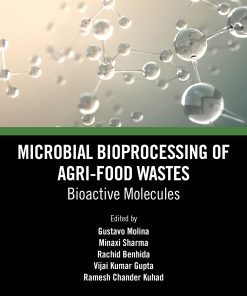 Microbial Bioprocessing of Agri-food Wastes (EPUB)