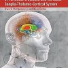 Nonlinear Dynamics of Parkinson’s Disease and the Basal Ganglia-Thalamic-Cortical System (EPUB)