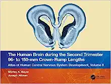 The Human Brain during the Second Trimester 96– to 150–mm Crown-Rump Lengths: Atlas of Human Central Nervous System Development, Volume 8 (Atlas of Human Central Nervous System Development, 8) (PDF)