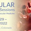 2022 SVM Online Board Review Course (Society for Vascular Medicine) (Course)