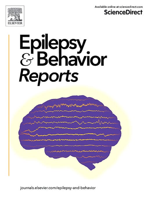 Epilepsy & Behavior Reports PDF