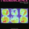 Neuroscience: Volume 508 to Volume 526 2023 PDF