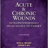 Acute and Chronic Wounds: Intraprofessionals from Novice to Expert, 6th edition (PDF)