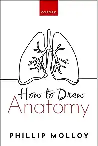 How To Draw Anatomy (PDF)