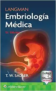 Langman. Embriología Médica (Spanish Edition), 15th Edition (EPUB + Videos)