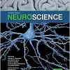 Neuroscience, 7th Edition (EPUB)