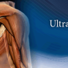 Pegasus Musculoskeletal Ultrasound eCourse 2023 (Course)