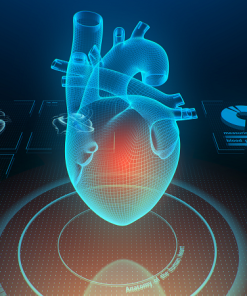 14th Annual Mayo Clinic Cardiology Update The Heart of the Matter 2023 – MayoClinic (Course)