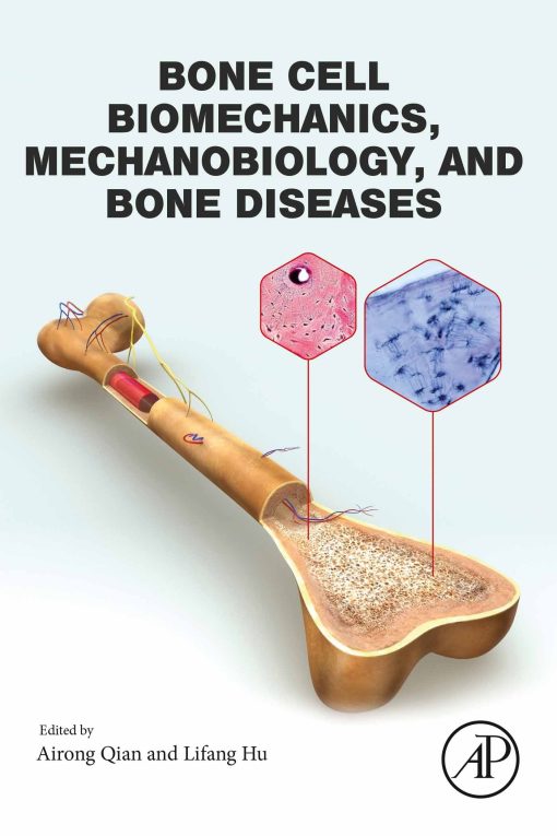 Bone Cell Biomechanics, Mechanobiology and Bone Diseases (PDF)