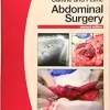 BSAVA Manual of Canine and Feline Abdominal Surgery (BSAVA British Small Animal Veterinary Association), 2nd Edition