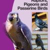 BSAVA Manual of Raptors, Pigeons and Passerine Birds