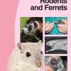 BSAVA Manual of Rodents and Ferrets