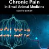 Chronic Pain in Small Animal Medicine, 2nd Edition (ePub Book)