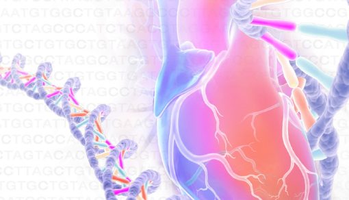 Echo Alaska Frontiers of Multimodality Imaging Including Echo, Cardiac CT and MRI 2023 – MayoClinic (Course)