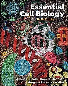 Essential Cell Biology, 6th edition (EPUB)