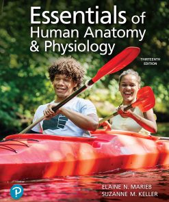 Essentials of Human Anatomy & Physiology, 13th Edition (PDF)