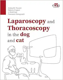 Laparoscopy and Thoracoscopy in the dog and cat (ePub Book)