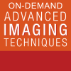 2022 Advanced Imaging Techniques: OnDemand – (ASELearningHub) (Course)