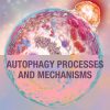 Autophagy Processes and Mechanisms (PDF)