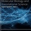 Phage Therapy – Part A (Progress in Molecular Biology and Translational Science, Volume 200) (PDF)