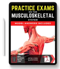 Medstudentnotes Practice Exams – Musculoskeletal (PDF)