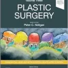 Plastic Surgery: Volume 3: Craniofacial, Head and Neck Surgery and Pediatric Plastic Surgery, 5th edition (PDF)