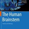 The Human Brainstem (PDF)