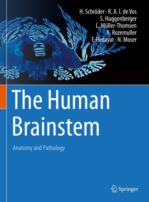 The Human Brainstem (PDF)