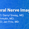 ARRS 2023 Symposium Plexus and Peripheral Nerve Imaging (MRI/US) (Videos)