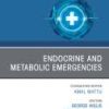 Emergency Medicine Clinics of North America PDF