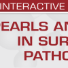 Second Edition: Pearls and Palms in Surgical Pathology 2023