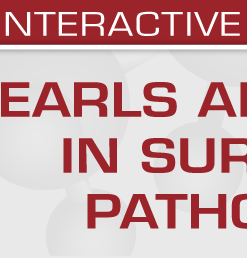 Second Edition: Pearls and Palms in Surgical Pathology 2023