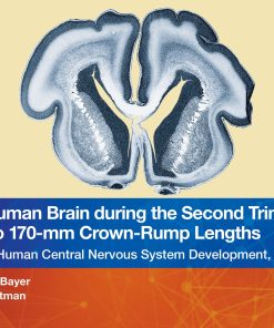 The Human Brain during the Second Trimester 160– to 170–mm Crown-Rump Lengths: Atlas of Human Central Nervous System Development, Volume 9 (PDF)