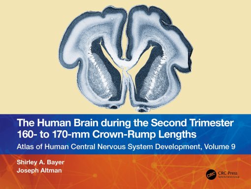 The Human Brain during the Second Trimester 160– to 170–mm Crown-Rump Lengths: Atlas of Human Central Nervous System Development, Volume 9 (PDF)