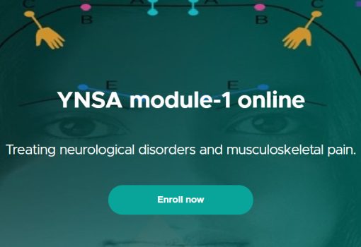 YNSA module-1 online