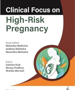 Clinical Focus on High-Risk Pregnancy (EPUB)