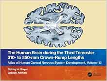 The Human Brain during the Third Trimester 310– to 350–mm Crown-Rump Lengths: Atlas of Central Nervous System Development, Volume 13 (Atlas of Central Nervous System Development, 13) (PDF)