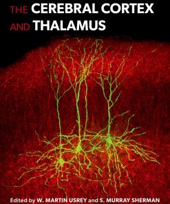 The Cerebral Cortex and Thalamus (EPUB)