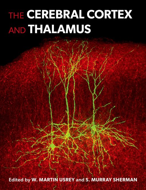 The Cerebral Cortex and Thalamus (EPUB)